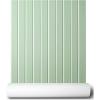 Seafoam Green With White Seam Lines